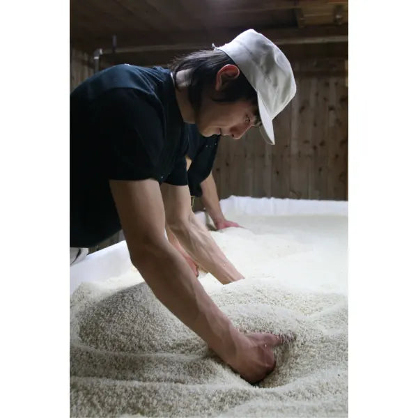 Japan 🇯🇵Black Soybean Enzyme Series